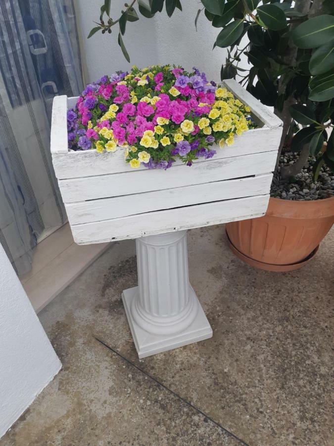 Willa Trullo Della Rosa Martina Franca Zewnętrze zdjęcie