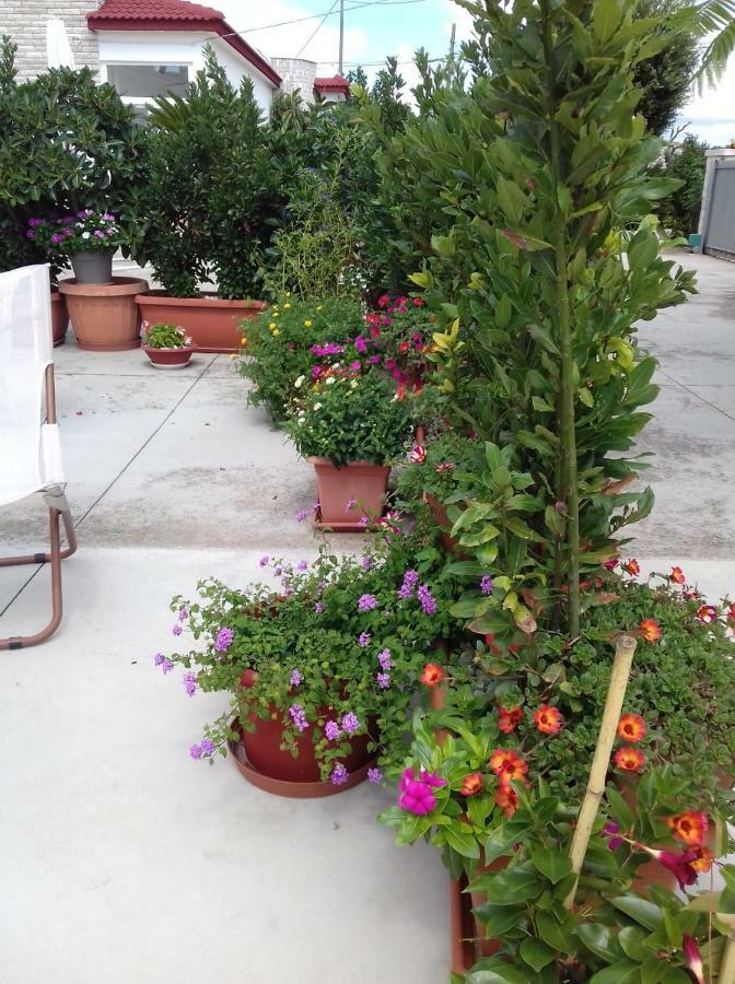 Willa Trullo Della Rosa Martina Franca Zewnętrze zdjęcie